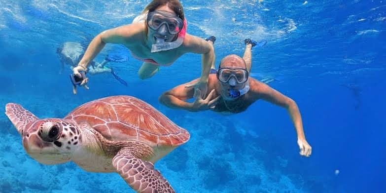 Snorkelers swimming close to a sea turtle in clear blue water
