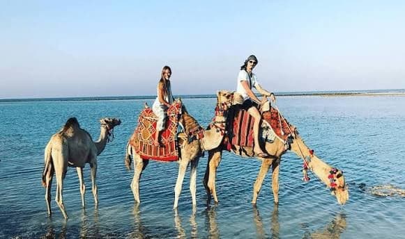 Riders on camels wading through calm, shallow sea water