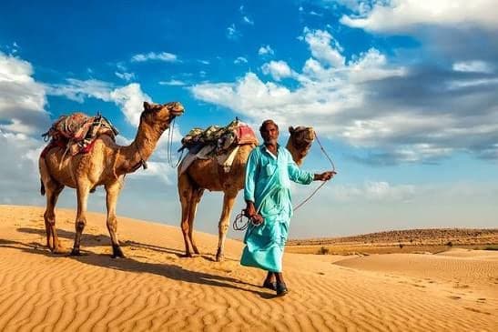 Camel handler leading two saddled camels across rippled sand dunes