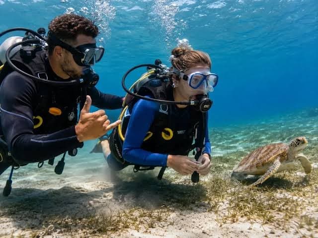 Two divers giving the OK sign beside a sea turtle, one of the first hand signals beginners learn