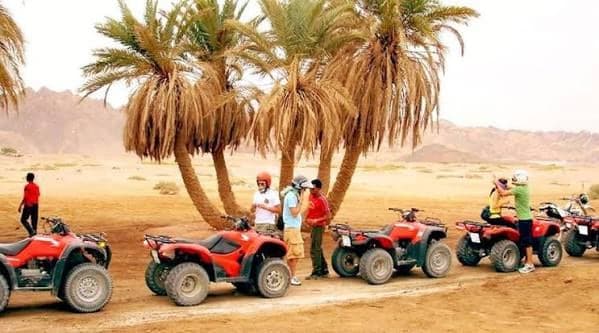 Red quad bikes parked under palm trees at a desert stop