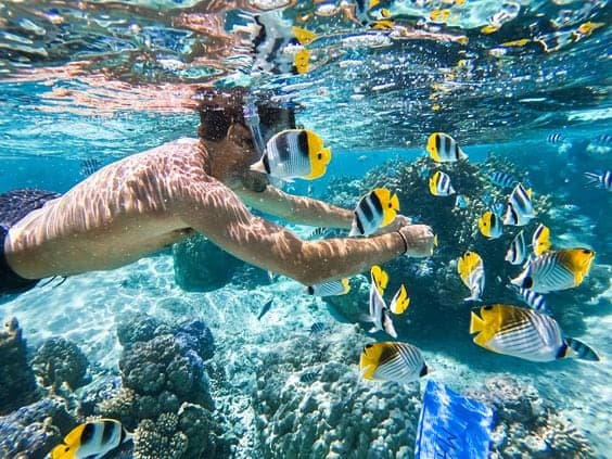 Snorkeler surrounded by yellow butterflyfish over a coral reef