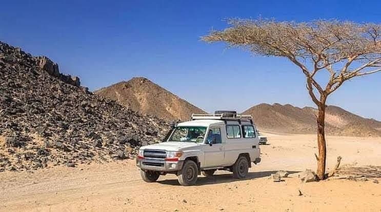 Super Safari: white 4x4 jeep driving through a rocky desert valley past an acacia tree